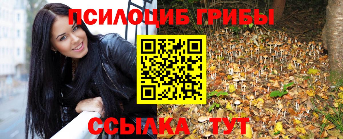 Галлюциногенные грибы Cubensis Славянск-на-Кубани